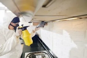 How Often Should Commercial Kitchen Hoods Be Cleaned