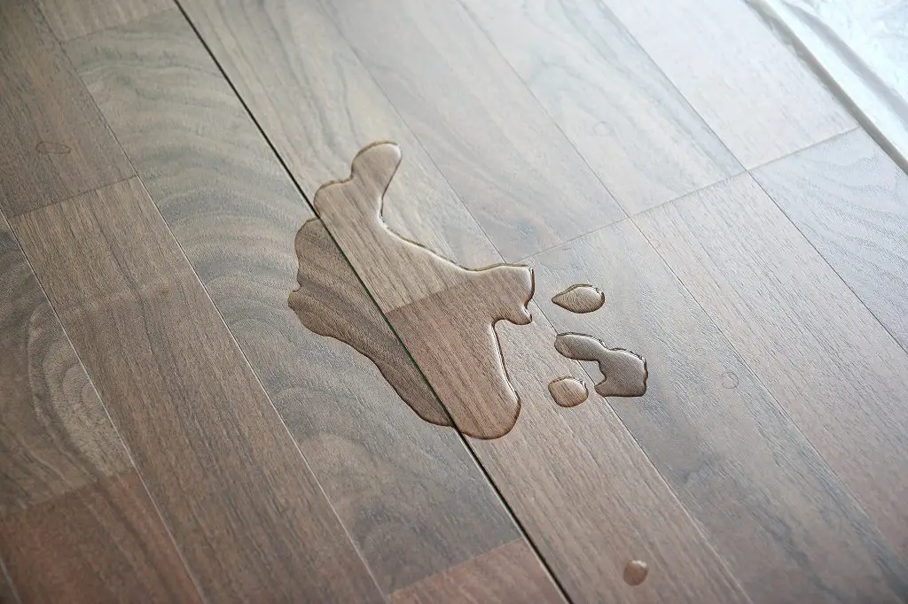 How to Protect Hardwood Floors in Kitchen